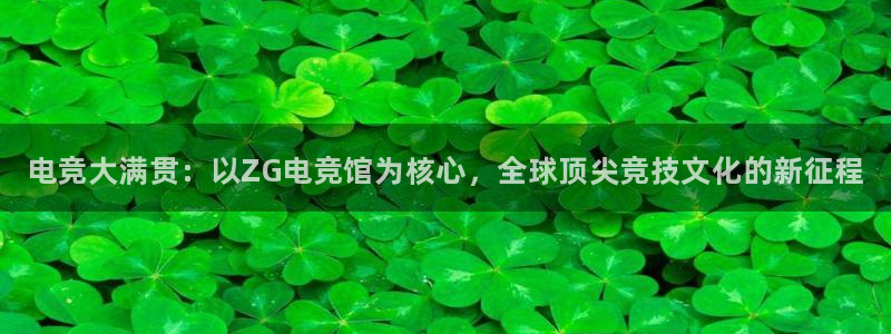 iM电竞电竞下载ios