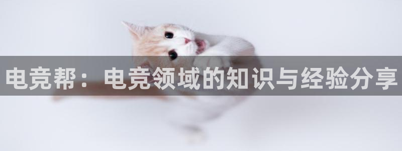 iM电竞电竞|官网：电竞帮：电竞领域的知
