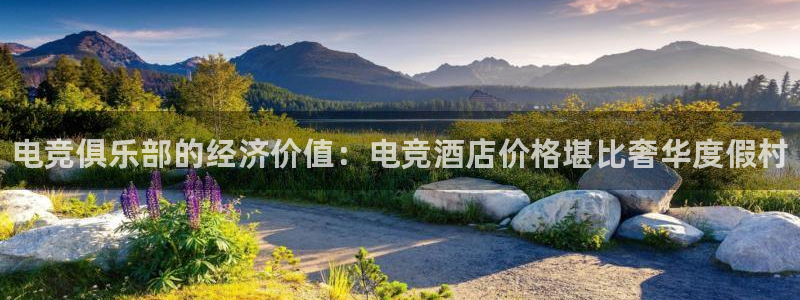 iM电竞电竞官网直播入口：电竞俱乐部的经