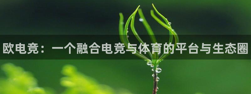 iM电竞电竞s13：欧电竞：一个融合电竞与体育的平台与生态圈