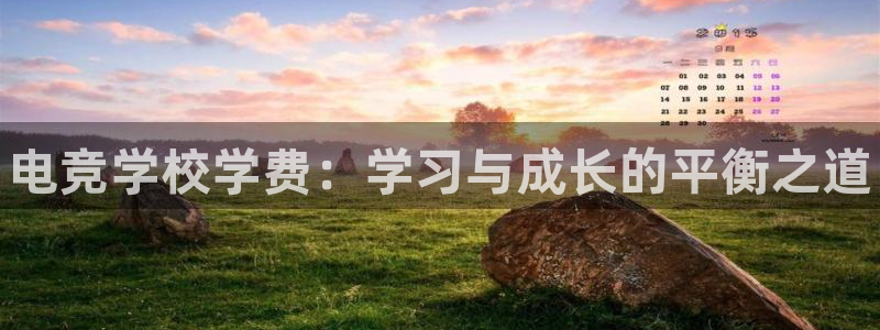 iM电竞电竞靠谱吗：电竞学校学费：学习与成长的平衡之道