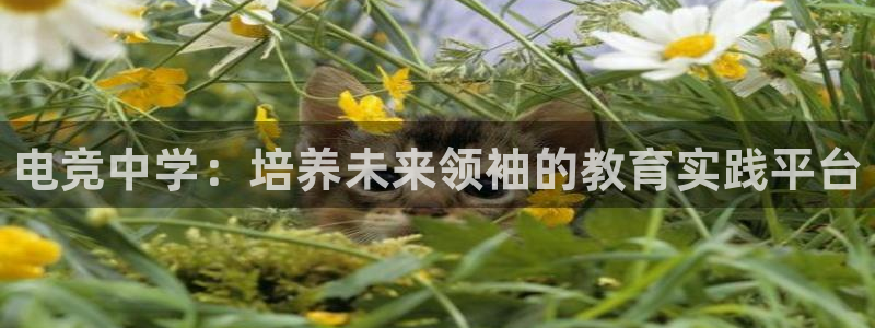 iM电竞电竞比分：电竞中学：培养未来领袖的教育实践平台