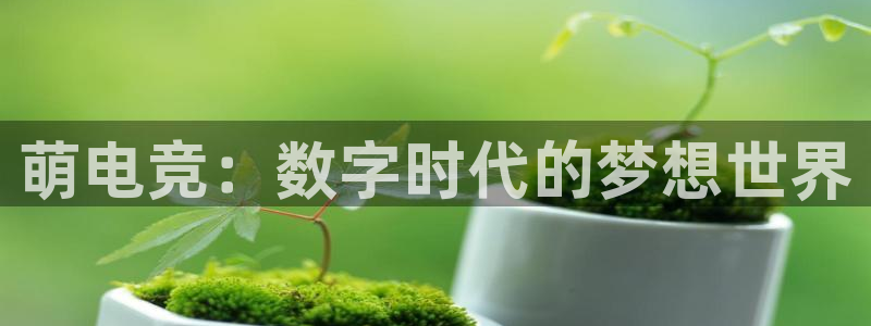 iM电竞电竞下载ios绿色版