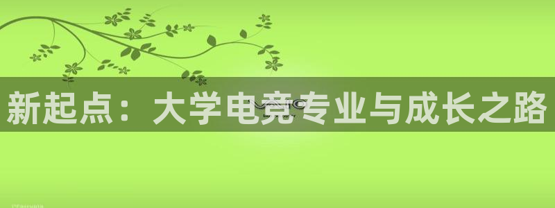 iM电竞电竞app最新版