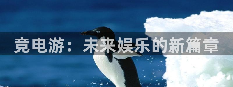 iM电竞电竞怎么样：竞电游：未来娱乐的新篇章