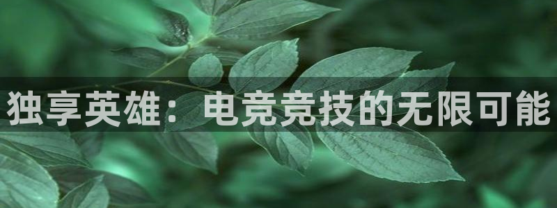 iM电竞电竞靠谱吗