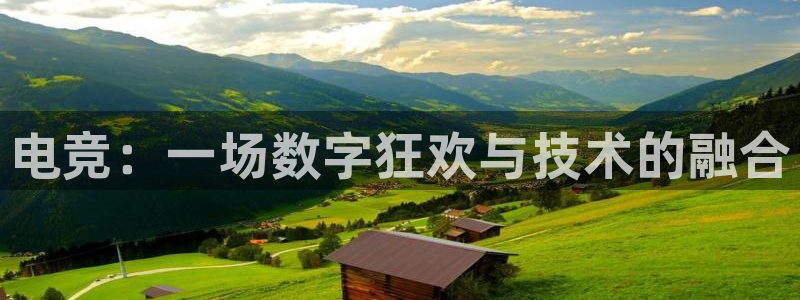 iM电竞电竞网站：电竞：一场数字狂欢与技