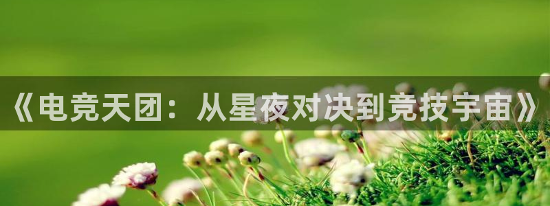 iM电竞电竞结算错误：《电竞天团：从星夜